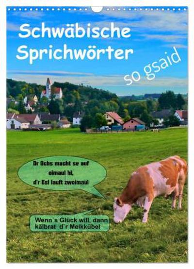 Schwäbische Sprichwörter - so gsaid (Wandkalender 2026 DIN A3 hoch), CALVENDO Monatskalender