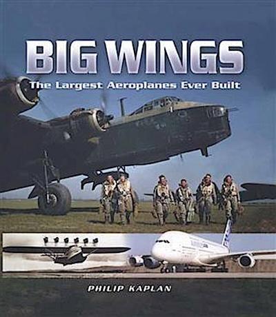 Big Wings