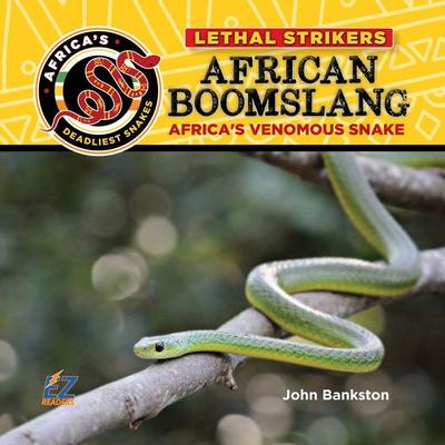 African Boomslang: Africa’s Most Venomous Snake