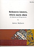 Schmerz immer Blick nach obenfor soprano and string orchestra