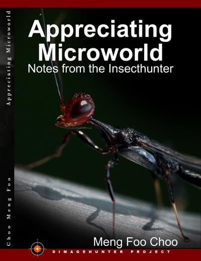 Appreciating Microworld: Notes from the Insecthunter
