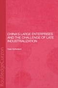 China`s Large Enterprises and the Challenge of Late Industrialisation - Dylan Sutherland