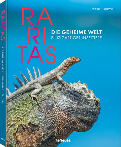 Ludwig, Raritas