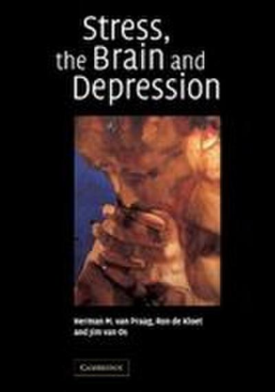 Stress, the Brain and Depression