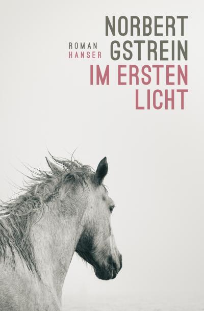 Im ersten Licht (eBook, EPUB) - Norbert Gstrein