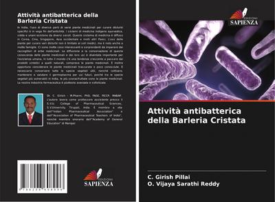 Attività antibatterica della Barleria Cristata