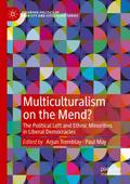 Multiculturalism on the Mend?