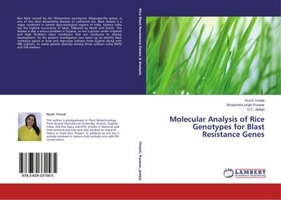 Molecular Analysis of Rice Genotypes for Blast Resistance Genes