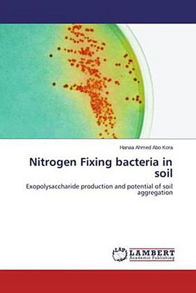 Nitrogen Fixing bacteria in soil