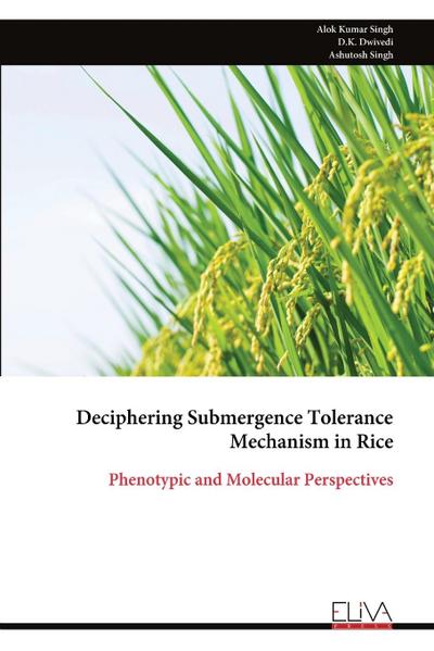 Deciphering Submergence Tolerance Mechanism in Rice