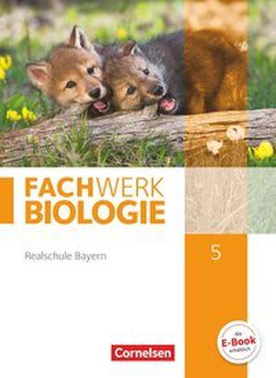 Fachwerk Biologie - Realschule Bayern - 5. Jahrgangsstufe