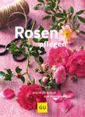 Rosen pflegen