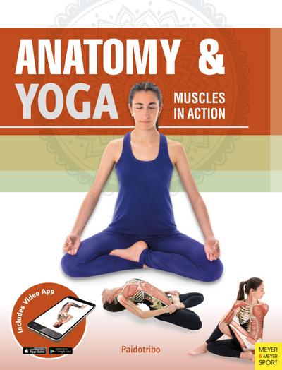 Anatomy & Yoga