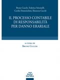 Il processo contabile di responsabilità per danno erariale