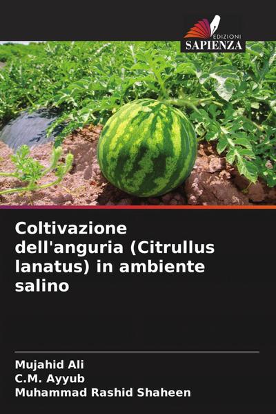 Coltivazione dell’anguria (Citrullus lanatus) in ambiente salino