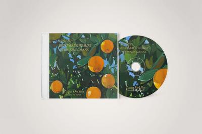 Violet Bent Backwards Over The Grass, 1 Audio-CD
