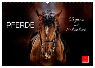 Eleganz und Schönheit - Pferde (Wandkalender 2024 DIN A2 quer), CALVENDO Monatskalender