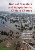 Natural Disasters and Adaptation to Climate Change