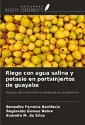 Riego con agua salina y potasio en portainjertos de guayaba