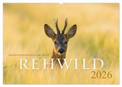 Rehwild 2026 (Wandkalender 2026 DIN A2 quer), CALVENDO Monatskalender