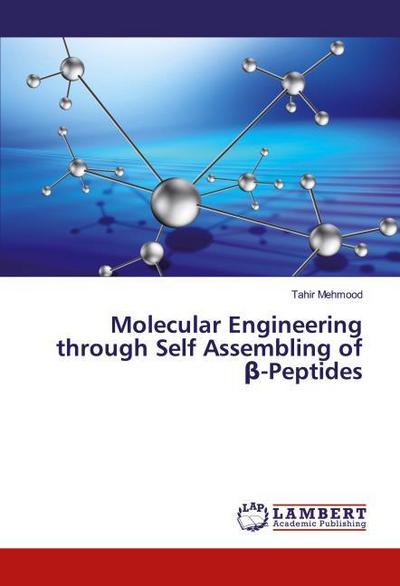 Molecular Engineering through Self Assembling of ¿-Peptides