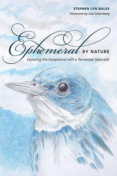Ephemeral by Nature