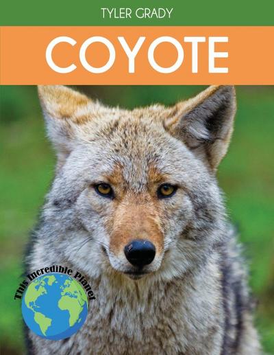 Coyote