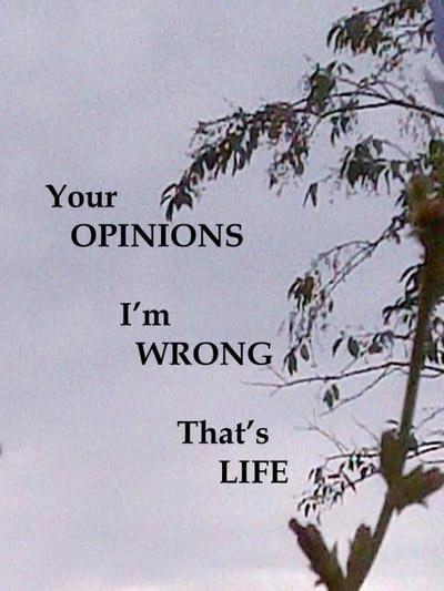 Your Opinions I’m Wrong That’s Life