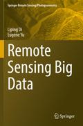 Remote Sensing Big Data