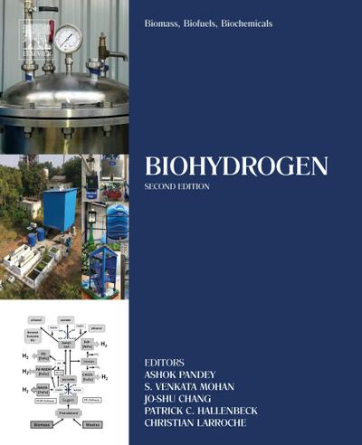 Biomass, Biofuels, Biochemicals