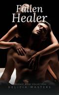 Fallen Healer:  Romance Book Collection