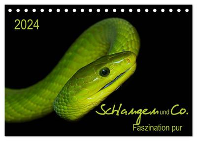 Schlangen und Co. - Faszination pur (Tischkalender 2024 DIN A5 quer), CALVENDO Monatskalender
