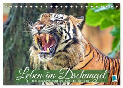 Leben im Dschungel: Der Regenwald ist ein Paradies für Tiere (Tischkalender 2026 DIN A5 quer), CALVENDO Monatskalender