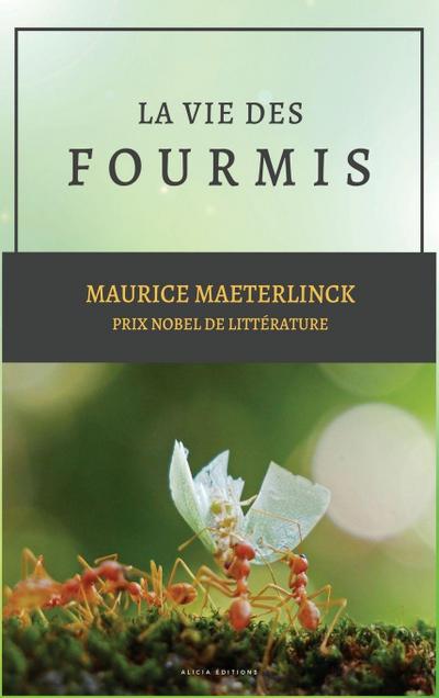 La vie des Fourmis