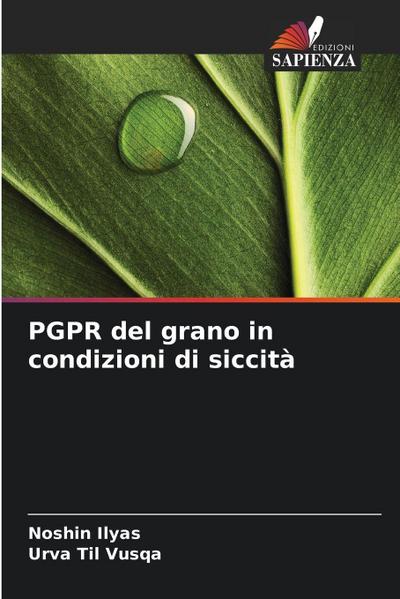 PGPR del grano in condizioni di siccità