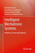 Intelligent Mechatronic Systems