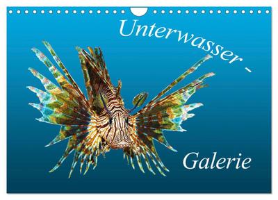 Unterwasser-Galerie (Wandkalender 2026 DIN A4 quer), CALVENDO Monatskalender