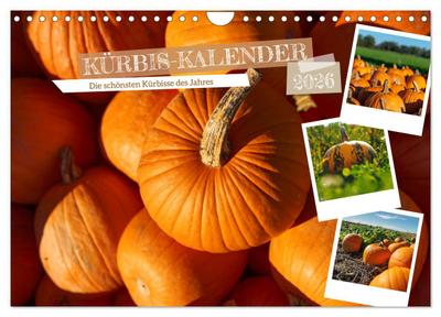 KÜRBIS KALENDER - Die schönsten Kürbisse des Jahres (Wandkalender 2026 DIN A4 quer), CALVENDO Monatskalender