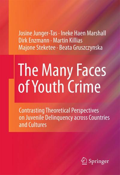 The Many Faces of Youth Crime