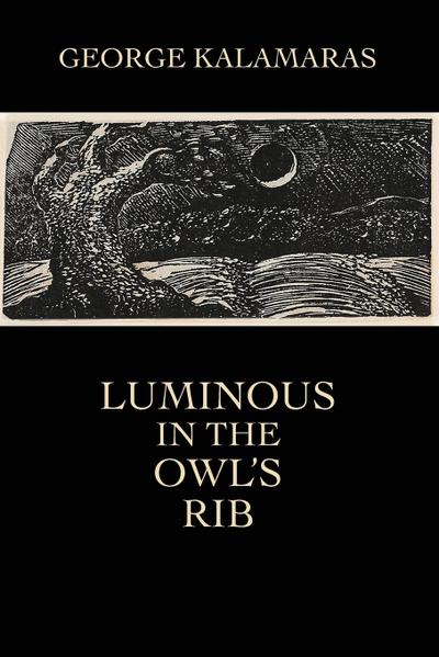 Luminous in the Owl’s Rib