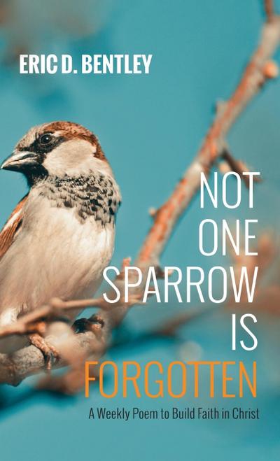 Not One Sparrow Is Forgotten
