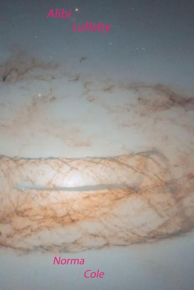 Alibi Lullaby