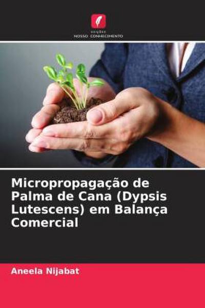 Micropropagação de Palma de Cana (Dypsis Lutescens) em Balança Comercial