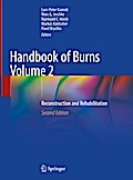 Handbook of Burns Volume 2
