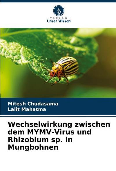 Wechselwirkung zwischen dem MYMV-Virus und Rhizobium sp. in Mungbohnen
