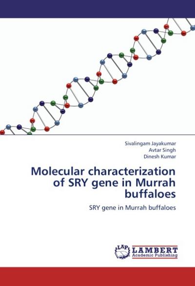 Molecular characterization of SRY gene in Murrah buffaloes