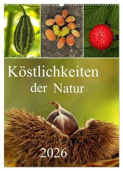 Köstlichkeiten der Natur 2026 (Wandkalender 2026 DIN A2 hoch), CALVENDO Monatskalender