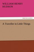 A Traveller in Little Things