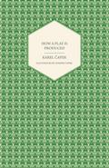 How a Play is Produced - Illustrated by Joseph ÄŒapek
