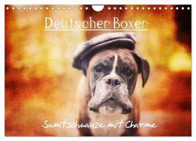 Deutscher Boxer (Wandkalender 2026 DIN A4 quer), CALVENDO Monatskalender